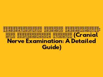 क्रेनियल नर्व परीक्षण: एक विस्तृत गाइड (Cranial Nerve Examination: A Detailed Guide)