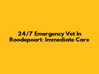 24/7 Emergency Vet In Roodepoort: Immediate Care
