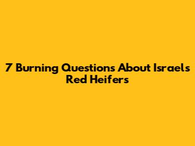 7 Burning Questions About Israel's Red Heifers