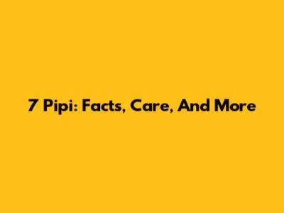 7 Pipi: Facts, Care, And More