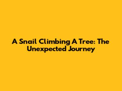 A Snail Climbing A Tree: The Unexpected Journey
