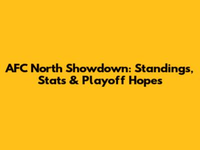 AFC North Showdown: Standings, Stats & Playoff Hopes
