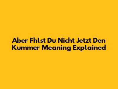 Aber Fhlst Du Nicht Jetzt Den Kummer Meaning Explained
