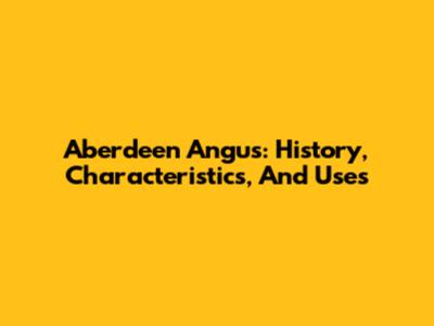Aberdeen Angus: History, Characteristics, And Uses