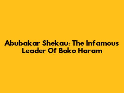 Abubakar Shekau: The Infamous Leader Of Boko Haram