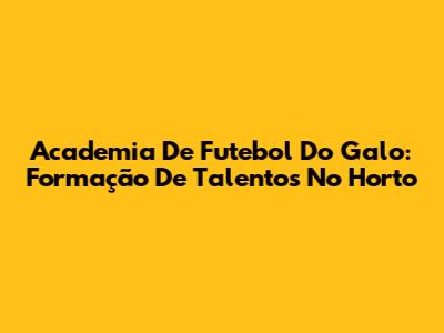 Academia De Futebol Do Galo: Formação De Talentos No Horto