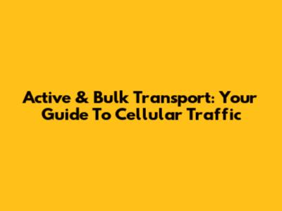 Active & Bulk Transport: Your Guide To Cellular Traffic