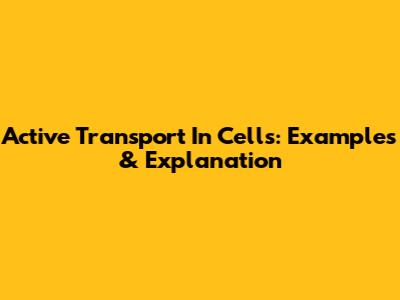 Active Transport In Cells: Examples & Explanation