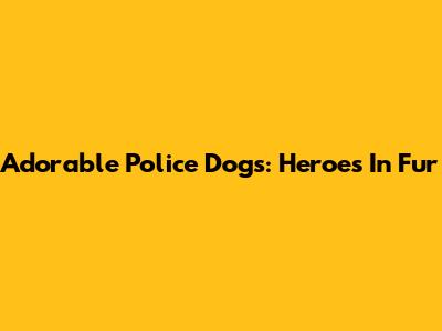 Adorable Police Dogs: Heroes In Fur
