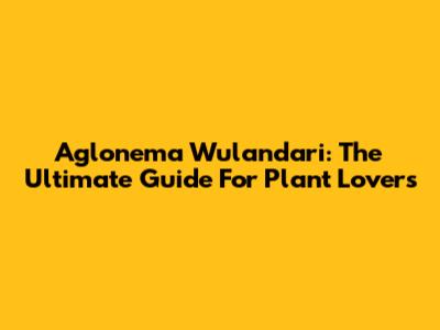 Aglonema Wulandari: The Ultimate Guide For Plant Lovers
