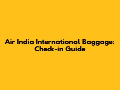 Air India International Baggage: Check-in Guide
