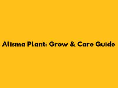 Alisma Plant: Grow & Care Guide