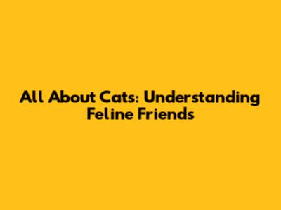 All About Cats: Understanding Feline Friends