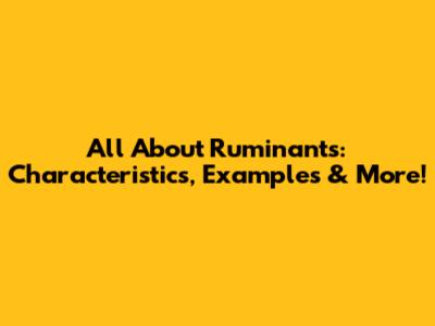 All About Ruminants: Characteristics, Examples & More!