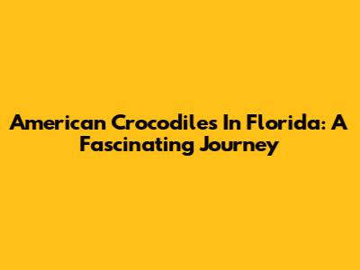 American Crocodiles In Florida: A Fascinating Journey