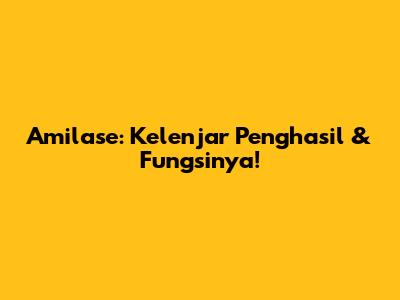 Amilase: Kelenjar Penghasil & Fungsinya!
