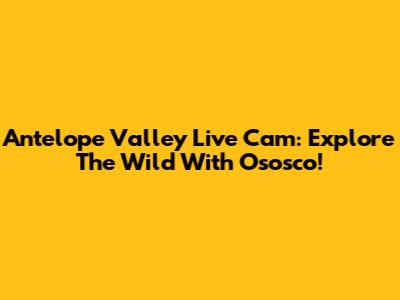 Antelope Valley Live Cam: Explore The Wild With Ososco!