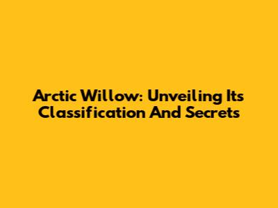 Arctic Willow: Unveiling Its Classification And Secrets