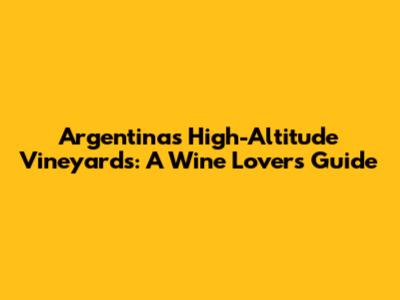 Argentina's High-Altitude Vineyards: A Wine Lover's Guide