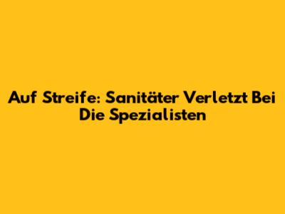 Auf Streife: Sanitäter Verletzt Bei "Die Spezialisten"