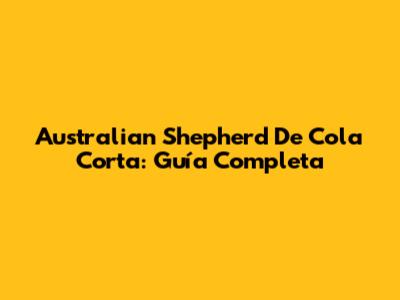 Australian Shepherd De Cola Corta: Guía Completa