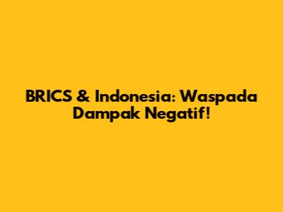 BRICS & Indonesia: Waspada Dampak Negatif!