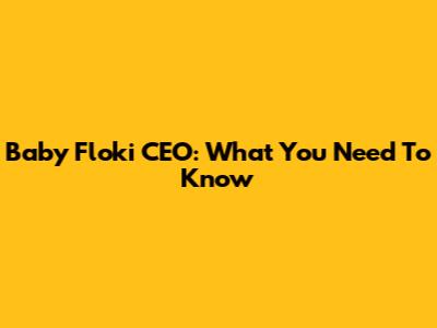 Baby Floki CEO: What You Need To Know
