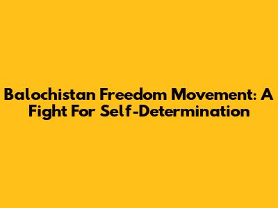 Balochistan Freedom Movement: A Fight For Self-Determination
