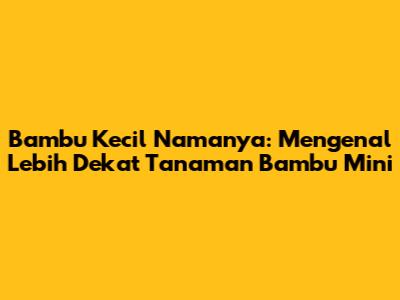 Bambu Kecil Namanya: Mengenal Lebih Dekat Tanaman Bambu Mini