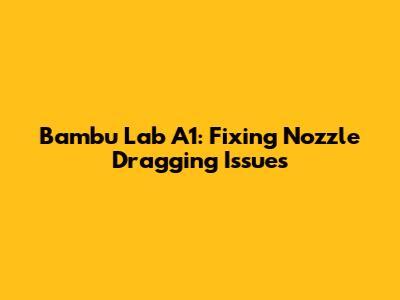 Bambu Lab A1: Fixing Nozzle Dragging Issues