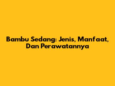Bambu Sedang: Jenis, Manfaat, Dan Perawatannya