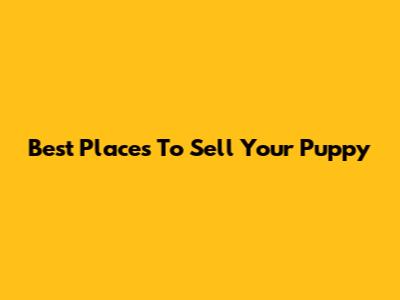 Best Places To Sell Your Puppy