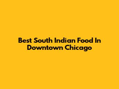 Best South Indian Food In Downtown Chicago