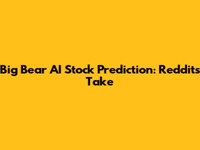 Big Bear AI Stock Prediction: Reddit's Take