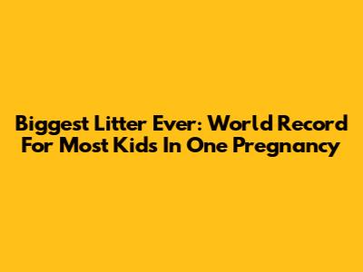 Biggest Litter Ever: World Record For Most Kids In One Pregnancy