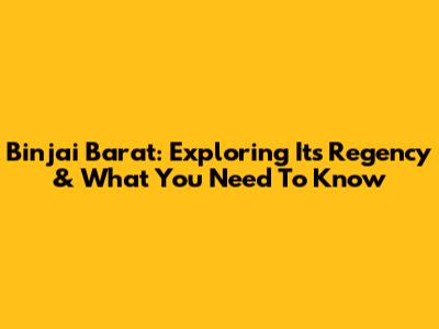 Binjai Barat: Exploring Its Regency & What You Need To Know