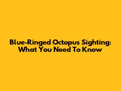 Blue-Ringed Octopus Sighting: What You Need To Know