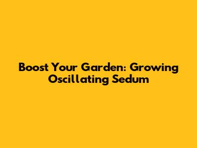 Boost Your Garden: Growing Oscillating Sedum