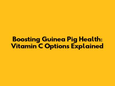 Boosting Guinea Pig Health: Vitamin C Options Explained