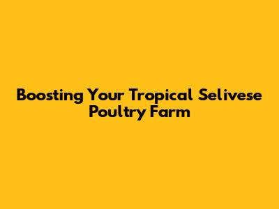 Boosting Your Tropical Selivese Poultry Farm