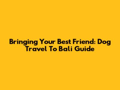 Bringing Your Best Friend: Dog Travel To Bali Guide