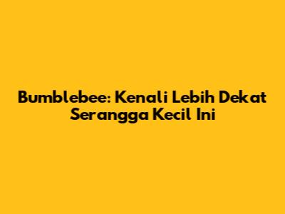 Bumblebee: Kenali Lebih Dekat Serangga Kecil Ini
