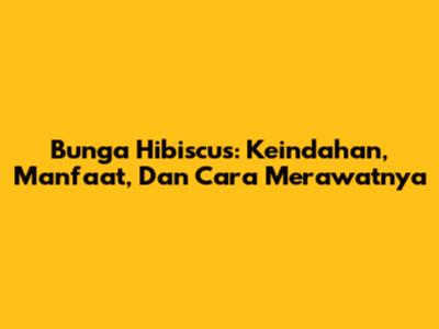 Bunga Hibiscus: Keindahan, Manfaat, Dan Cara Merawatnya