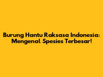 Burung Hantu Raksasa Indonesia: Mengenal Spesies Terbesar!