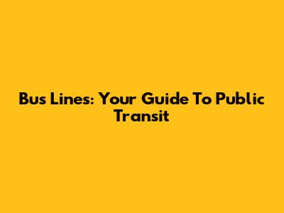 Bus Lines: Your Guide To Public Transit