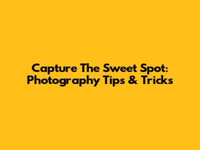 Capture The Sweet Spot: Photography Tips & Tricks