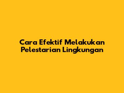 Cara Efektif Melakukan Pelestarian Lingkungan