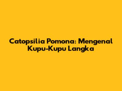 Catopsilia Pomona: Mengenal Kupu-Kupu Langka
