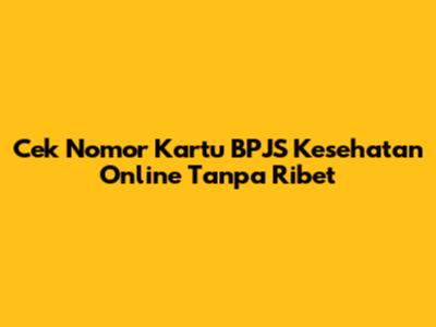 Cek Nomor Kartu BPJS Kesehatan Online Tanpa Ribet
