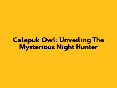 Celepuk Owl: Unveiling The Mysterious Night Hunter